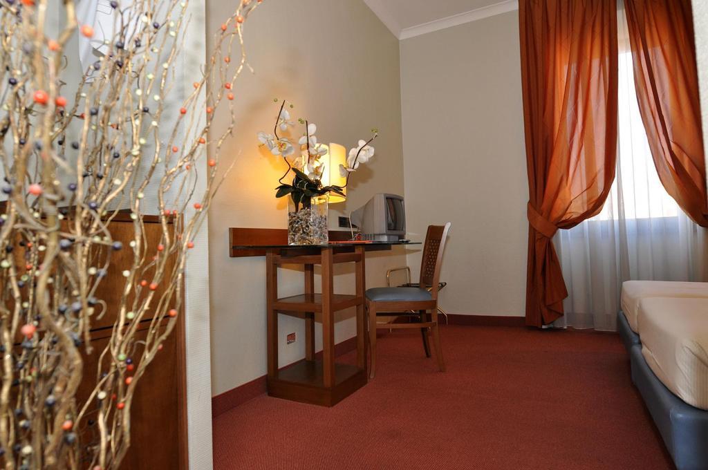 Single Room,12495232: